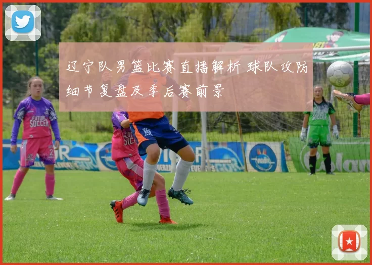 辽宁队男篮比赛直播解析 球队攻防细节复盘及季后赛前景