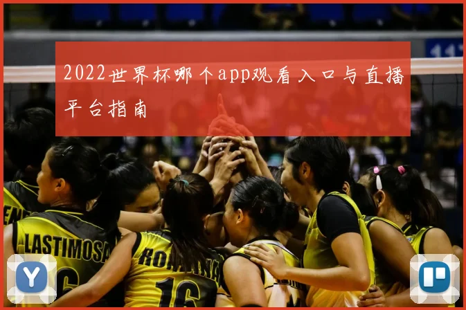 2022世界杯哪个app观看入口与直播平台指南