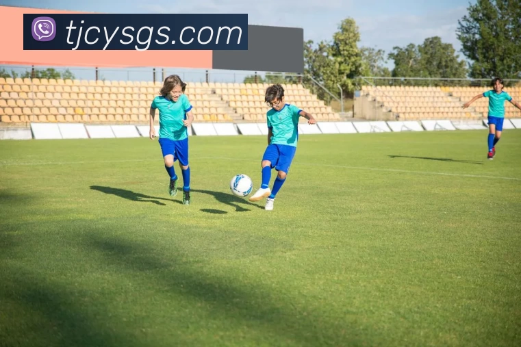 开云官方版网站登录入口 - 开云online(中国)发展历程